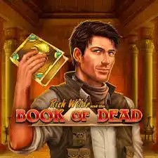 Book of Dead online slot from Play&#039;n GO – play at le-bull.pt